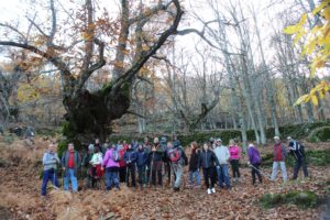 Senderismo Grandes grupos